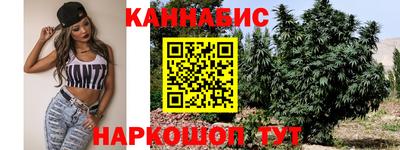 молекула духа Заводоуковск